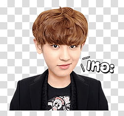 EXO EXO Next Door Line transparent background PNG clipart