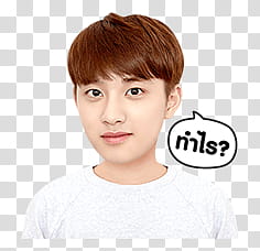 EXO EXO Next Door Line transparent background PNG clipart