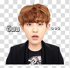 EXO EXO Next Door Line transparent background PNG clipart
