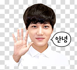 EXO Line Sticker, EXO Kim Jongin transparent background PNG clipart
