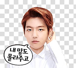 EXO Line Sticker, man fixing his hair transparent background PNG clipart