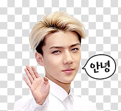 EXO Line Sticker, man in white collared top transparent background PNG clipart