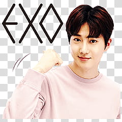 EXO LINE STICKERS, man in pink sweatshirt transparent background PNG clipart