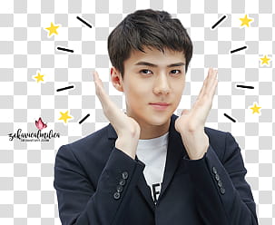 EXO LINE Stickers, man wearing black formal top transparent background PNG clipart