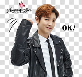 EXO LINE Stickers, man wearing black leather coat transparent background PNG clipart