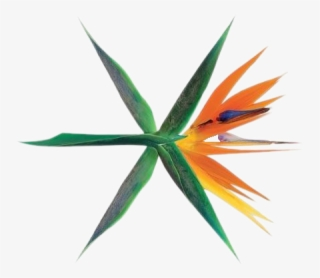 Exo Logo PNG, Transparent Exo Logo PNG Image Free Download - PNGkey