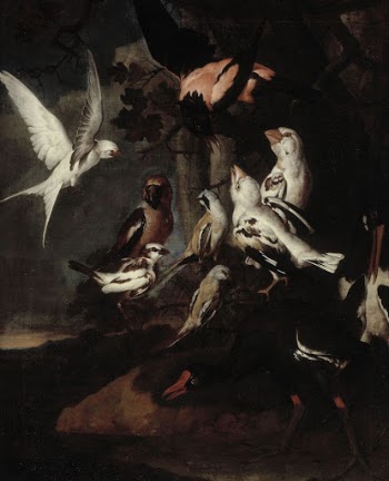 Exotic birds, 1668 - 1754 | Free Photo - rawpixel