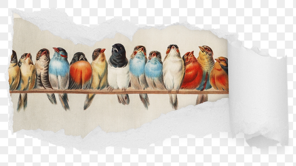 Exotic birds png ripped paper | Free PNG - rawpixel