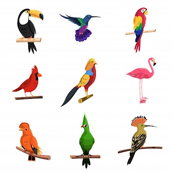 Exotic birds set