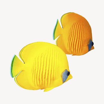 Exotic fish collage element psd | Free PSD - rawpixel