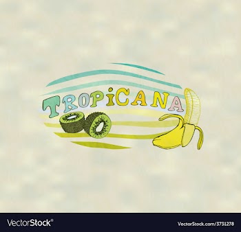 Exotic Fruits vector image