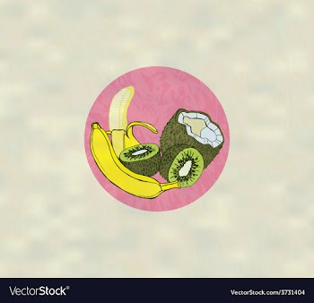 Exotic Fruits vector image