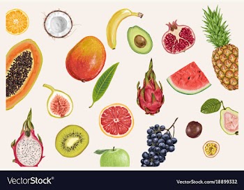  					Exotic juicy delicious fruits vector image														