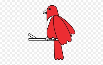 Exotic Natural Bird - Exotic Natural Bird