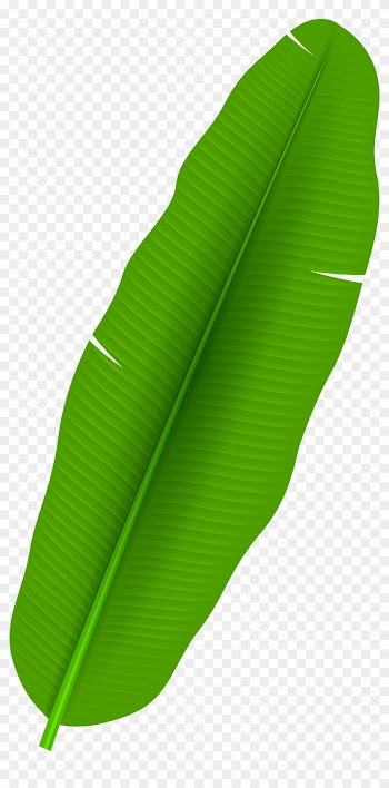 Exotic Palm Leaf Transparent Png Clip Art - Banana Leaf Clipart Png