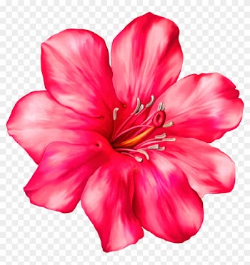 Exotic Pink Flower Png Clipart Picture - Tropical Flower Clip Art