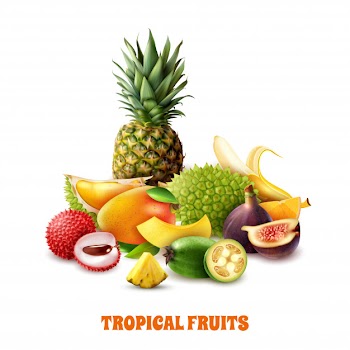 Exotic tropical fruits composition Free Vector