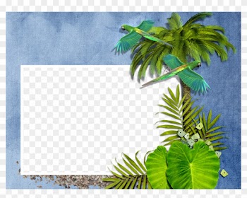 Exotic Tropical Leaves Wreath Border Frame Green Stock - Palm Tree Frame Transparent