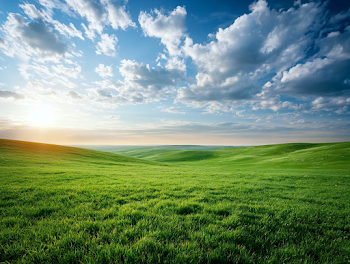 Expansive Green Meadow Under a Blue Sky