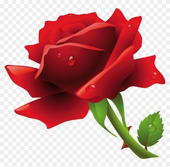 Explore Art Flowers, Beautiful Words And More - Rose Flower Clipart Png