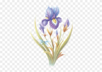 Explore Home Home, Tube And More - Alphabet S In Animated Flowers