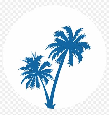 Explore More - Palm Tree Black And White