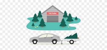 Explore Our Christmas Tree Farm - Christmas Tree