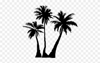 Explore Palm Tree Clip Art, Black Silhouette, And More - Palm Trees Silhouette Png