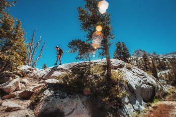 Explorer