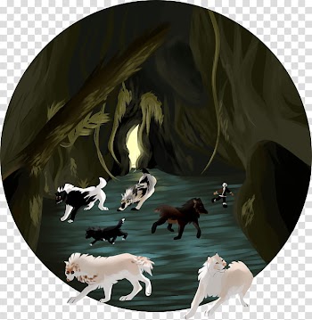 Exploring, white and black animals ilustration transparent background PNG clipart
