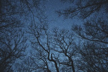 Exposure shot from outside cabin at Lake Maria State Park