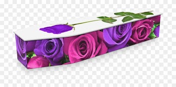 Expression Cofins - Rose