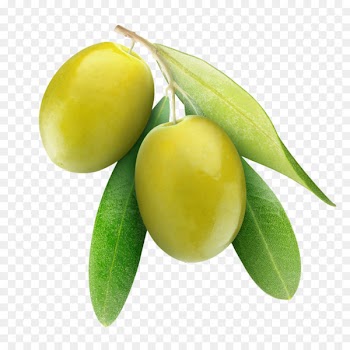 Extra Virgin Olive Oil White Truffle Stock photography Image - olive 