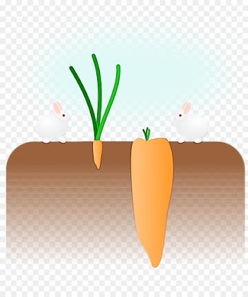 Extraversion And Introversion, Synonym, Definition, Carrot, Vegetable PNG