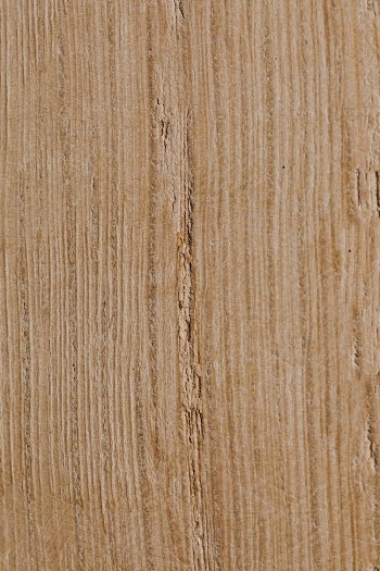 Extreme Close-up of Wood Texture