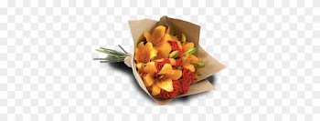 Extreme Passion Orange - Rose