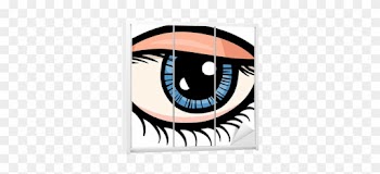 Eye Clip Art Cartoon Illustration Wardrobe Sticker - Alphabet E For Eyes