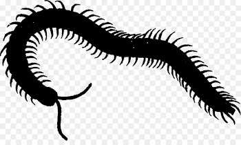 Eye Clip art Line -  