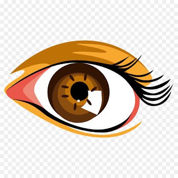 Eye Clip art - Vector Color cartoon eyes 