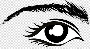 Eye Eyebrow Lashes - Free vector graphic on Pixabay
