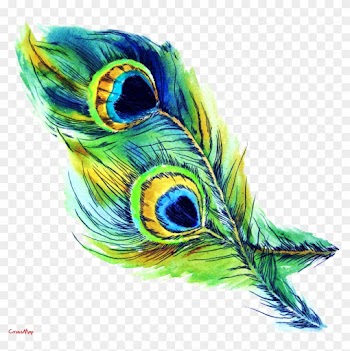 Eye Feather Christian Clip Art - Peacock Feather Clip Art Free Download