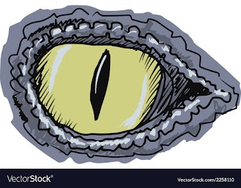 Eye of crocodile vector image