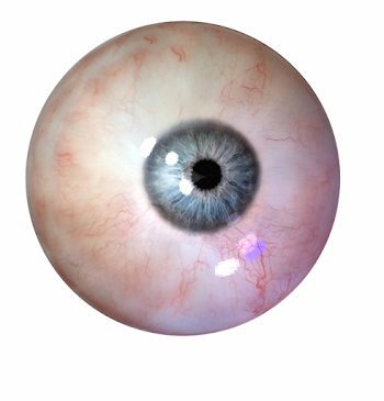 Eye Png - Eyeball Png, Transparent Png Download For Free #88256 ...