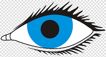 Eye Sight Look - Free vector graphic on Pixabay