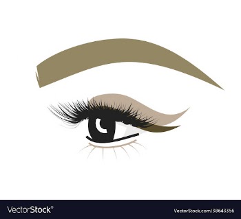 eyebrow and eye with eyelashes makeup for beauty