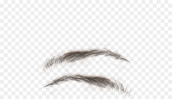Eyebrow Eyelash Texture mapping - eyelashes 