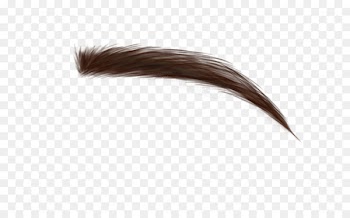 Eyebrow Face Cosmetics Hair - Face 