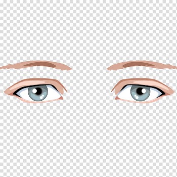 Eyebrow Human eye, Coffee color eyebrow pen trace material transparent background PNG clipart