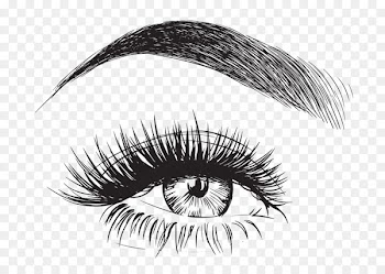 Eyebrow Microblading Illustration Permanent makeup Image - face 