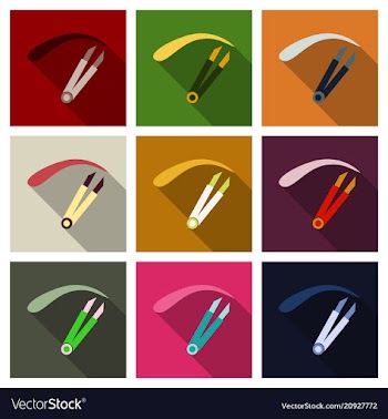 Eyebrow tweezers icon flat of eyebrow tweezers vector image
